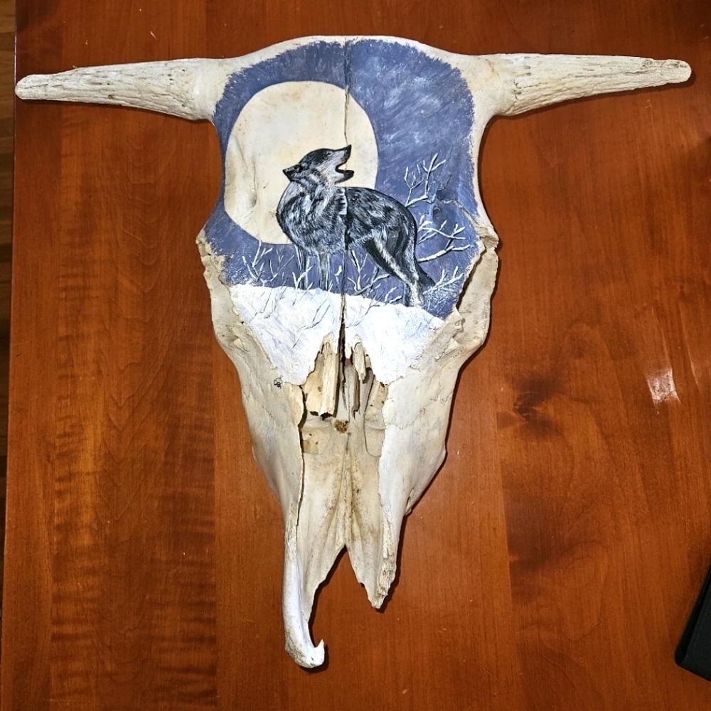 Hand Painted Buffalo/Bison Skull